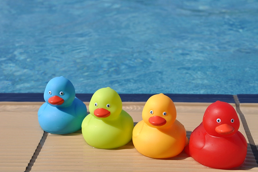 How To Keep Birds From Pooping On Your Pool Deck