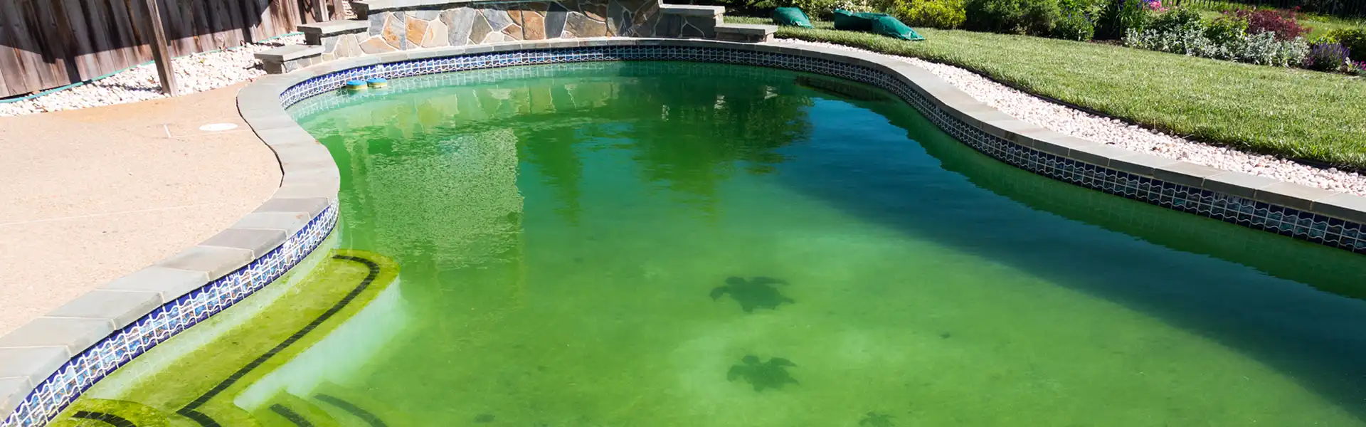Professional Pool Draining Services