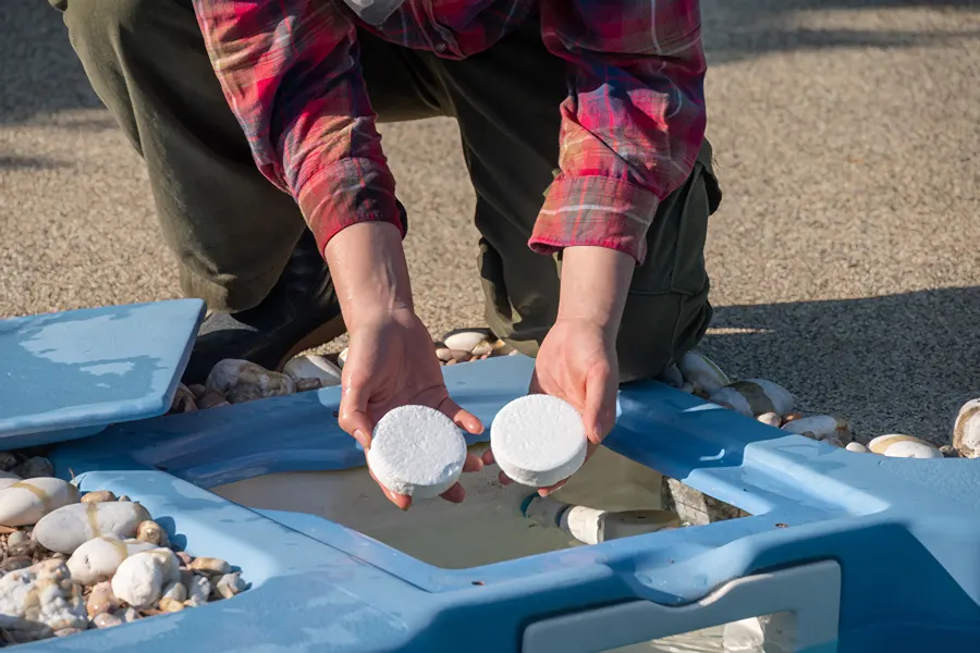 Importance of Annual Pool Cleaning