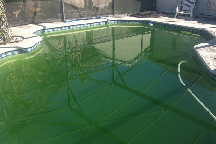 Pool Before Winter Maintenance