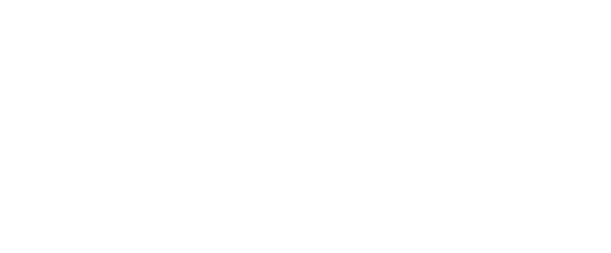 BM Wemple Pools logo